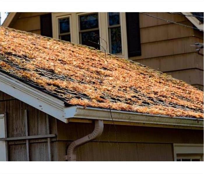 Leaves covering a roof.
