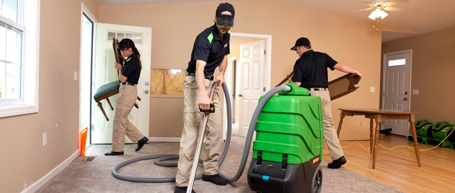 Highland Park, MI cleaning services